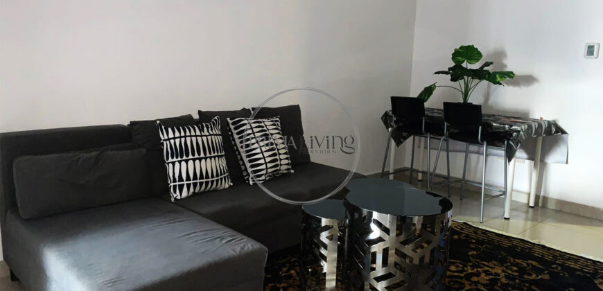 Fully furnished | Close to metro | Park View